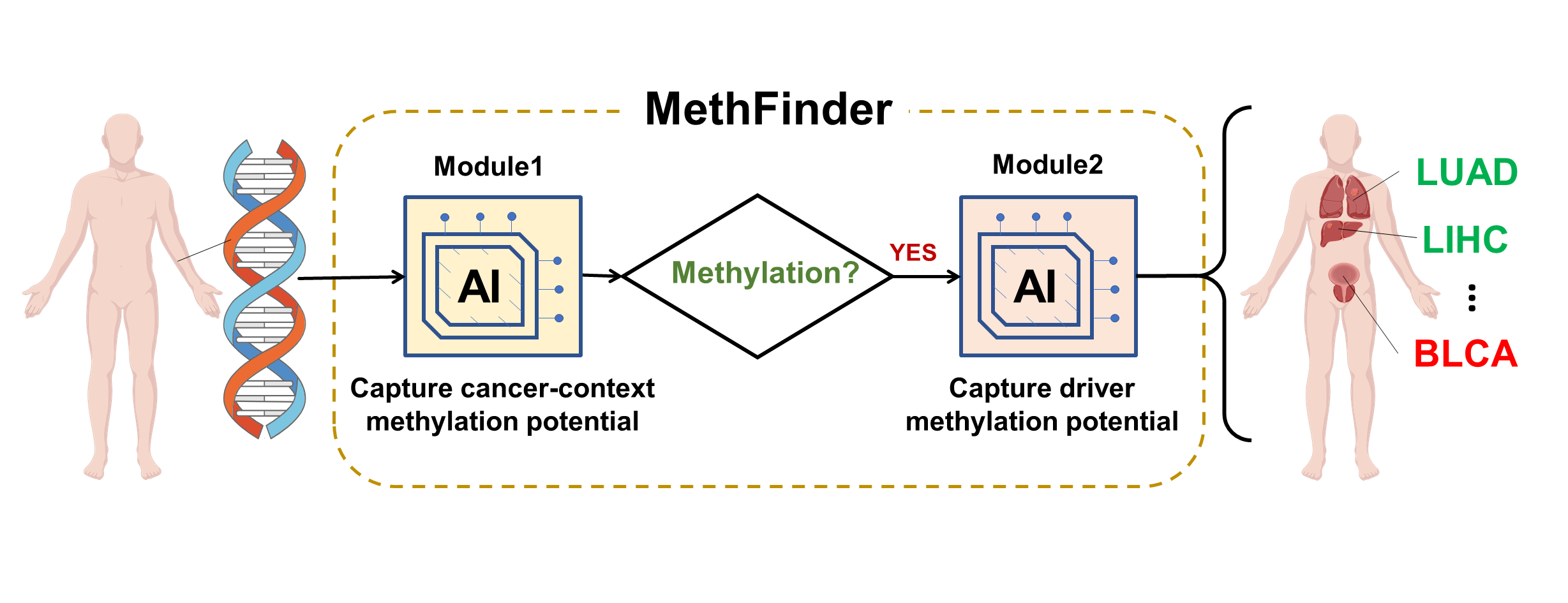 MethFinder workflow