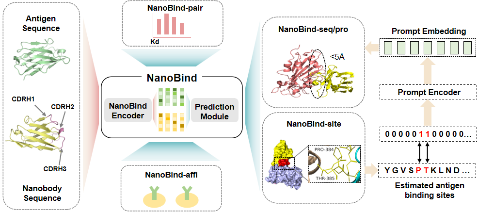 NanoBind workflow